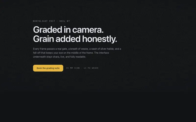 Film Grain Stack preview