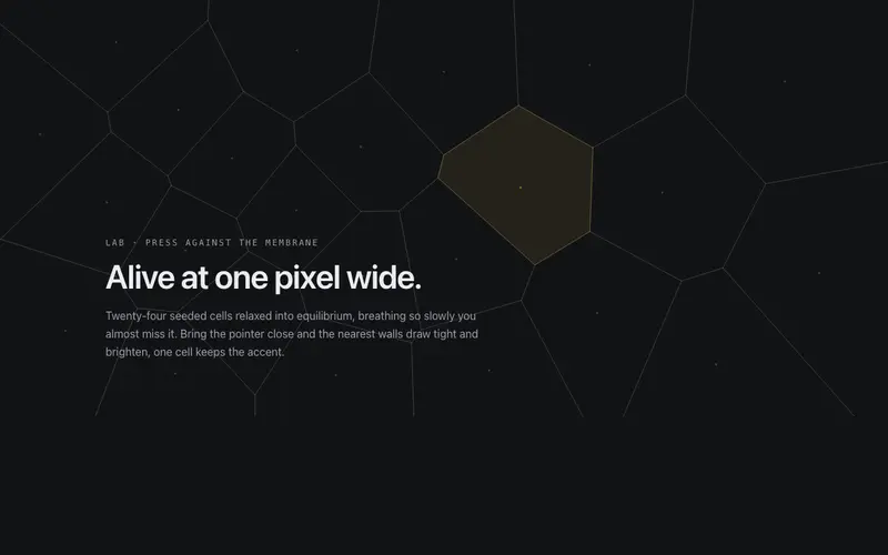Voronoi Membrane preview